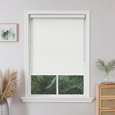 a white window in a room with plants and pictures on the wall next to it