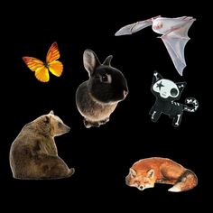 a group of animals that are standing in the dark room with butterflies flying above them