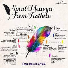 a colorful feather with the words spirit messages from feathers