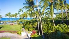 the walkway to the beach is lined with palm trees and lawns, along with an ocean view