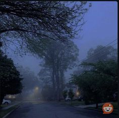 a foggy street at night with cars parked on the side and trees in the foreground