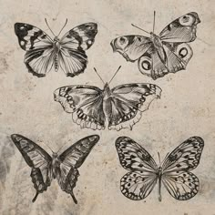 four butterflies are shown in black and white on a piece of paper that has been drawn with ink