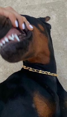 a woman is petting a dog with her teeth