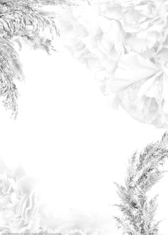 black and white photograph of flowers on a white background