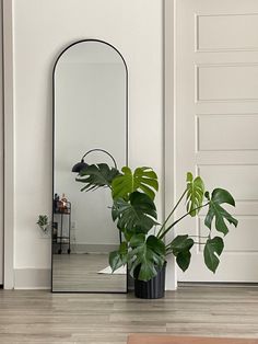 a mirror sitting on top of a wooden floor next to a potted green plant