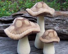 three mushrooms sitting on top of a wooden table