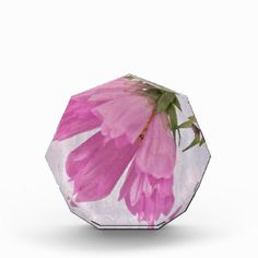 a pink flower sitting on top of a glass vase