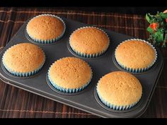 six cupcakes sitting in a muffin tin on a table next to a plant