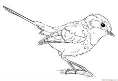 a drawing of a bird sitting on the ground