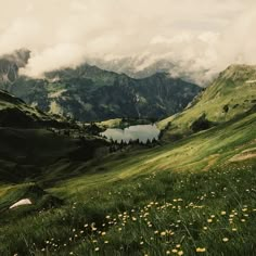 a grassy field with flowers and mountains in the background