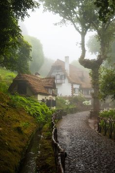 a cobblestone road with houses in the background on a foggy, rainy day