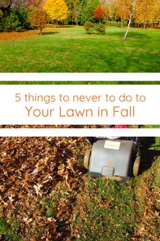 the lawn is covered with leaves and grass in fall, and there are three things to never do to your lawn in fall