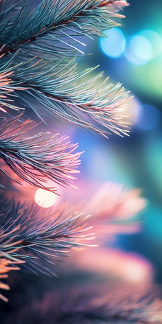 a close up view of the branches of a christmas tree with bright lights in the background