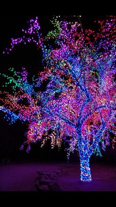 an illuminated tree is shown in the dark