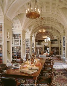 the library is full of books and many chandeliers, including one for reading