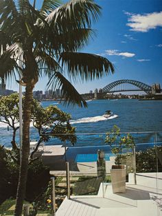 a palm tree sitting on top of a wooden deck next to the ocean with a boat in the water