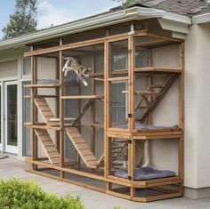 a house with a cat on top of it