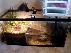 a fish tank filled with plants and gravel in front of a computer monitor on top of a desk