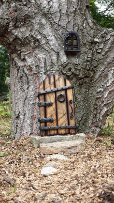 a tree trunk with a door in it