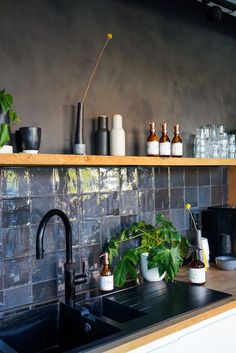 a kitchen counter with plants and bottles on the shelf above it, along with other items