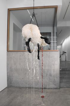 a sheep hanging from a chain in front of a mirror