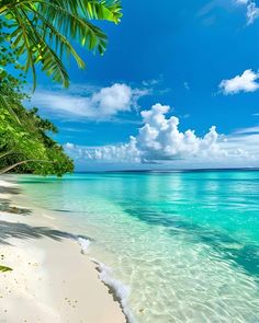 the beach has clear blue water and palm trees