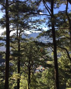 some trees and houses in the distance with mountains in the backgrouds behind them