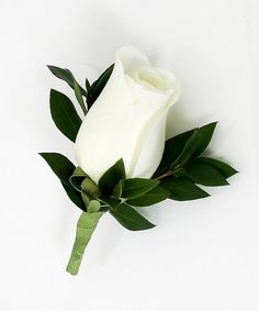 a single white rose with green leaves on a white background for use as a boutonniere