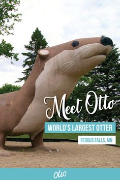 an otter statue with the words meet oto world's largest otter