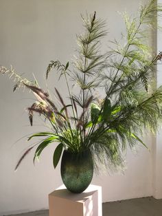 a vase filled with lots of green plants sitting on top of a white pedestal next to a wall