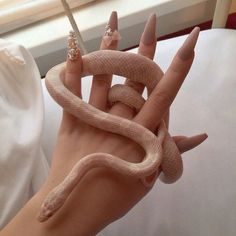 Cute Reptiles, Pet Snake, A Snake, Stiletto Nails, Perfect Nails, Nails On Fleek