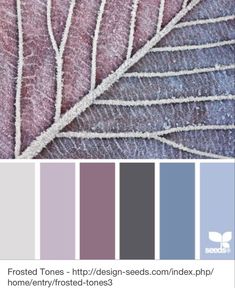 a color palette with different shades of purple and grey, including the leaves on top