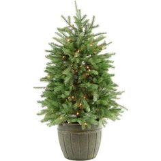 a potted christmas tree with lights on it