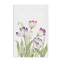 a painting of pink flowers on a white background