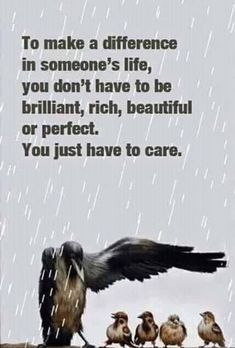 birds sitting on a wire with the words to make a difference in someone's life, you don't have to be brilliant, rich, beautiful or perfect