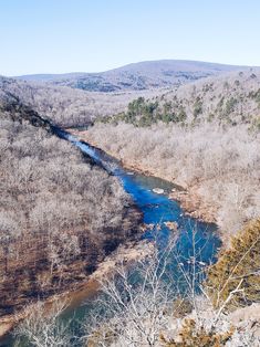 a river running through a forest filled with lots of dry grass and bare trees on the side of a hill