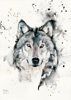 a watercolor painting of a wolf's face