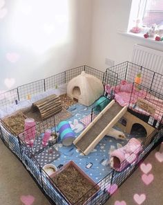 a caged in area with toys and other items