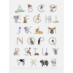 the alphabet is made up of animals and letters