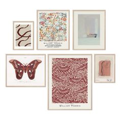 six framed photographs with different types of art on them, including two butterfly and one bird