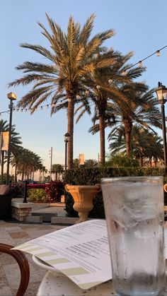 a glass of water sitting on top of a table next to a palm tree in the background