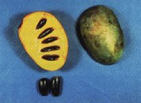 two pieces of fruit sitting next to each other on a blue surface