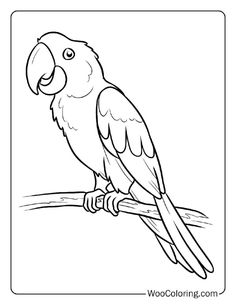 a parrot sitting on a branch coloring page