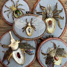 six embroidered bugs are sitting on top of each other in the middle of a circle