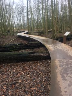 a wooden walkway in the middle of a forest with fallen trees and leaves on the ground