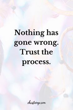 a quote that says nothing has gone wrong trust the process with feathers flying around it