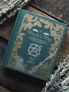 Witch Book Aesthetic, Magic Aesthetics, Drawing Down The Moon, Spiritual Books, Witchcraft Books, Under Your Spell, Witchcraft For Beginners, Wicca Witchcraft, Witch Books