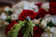 two wedding rings sitting on top of some red and white flowers with green stems in the foreground