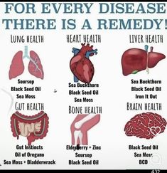 Lungs Health, Black Seed Oil, Holistic Remedies, Health Knowledge