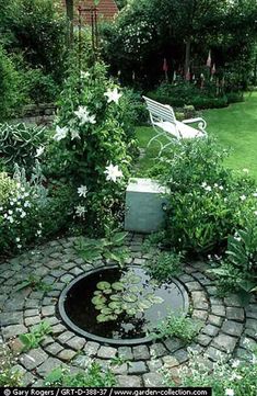 a small pond in the middle of a garden